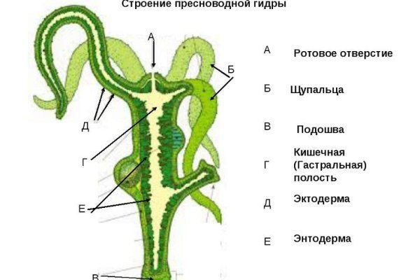 Даркнет купить зелья